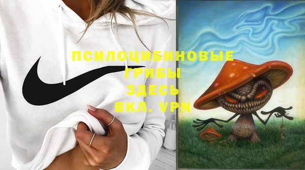 меф Няндома